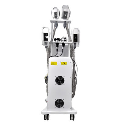 OEM gordo da máquina 800W do emagrecimento de Cryolipolysis do gelo do