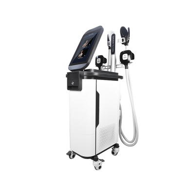 2 em 1 corpo do Ems Cryo esculpir a máquina  4 segura a máquina muscular de Estimulador