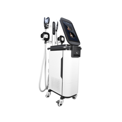 2 em 1 corpo do Ems Cryo esculpir a máquina  4 segura a máquina muscular de Estimulador