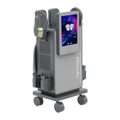 Máquina de moldagem de corpo EMS com RF EMS 4 alças com almofada