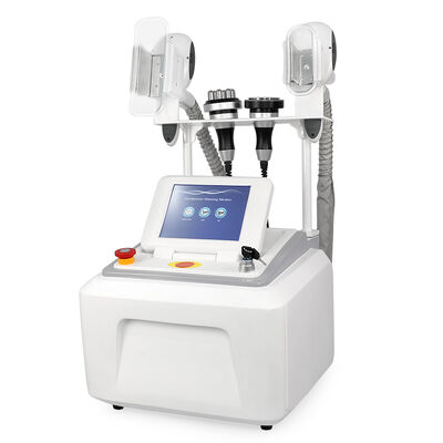 4 em 1 Não invasivo Indolor portátil de 4 alças para uso doméstico e comercial Máquina de beleza de congelação cryo Máquina de beleza de emagrecimento