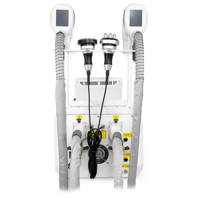 4 em 1 Não invasivo Indolor portátil de 4 alças para uso doméstico e comercial Máquina de beleza de congelação cryo Máquina de beleza de emagrecimento