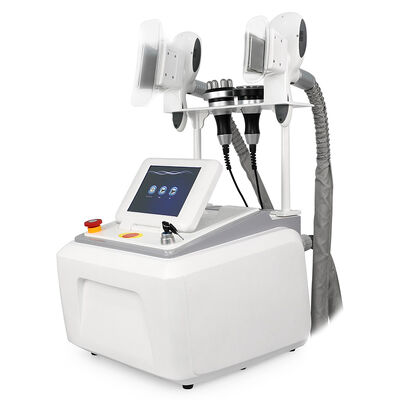4 em 1 Não invasivo Indolor portátil de 4 alças para uso doméstico e comercial Máquina de beleza de congelação cryo Máquina de beleza de emagrecimento
